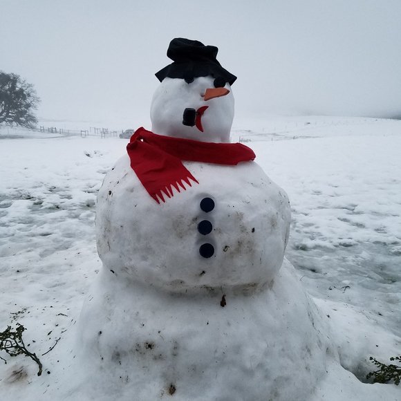 Meet your Posher, Kaycee - Picture 1 of 1